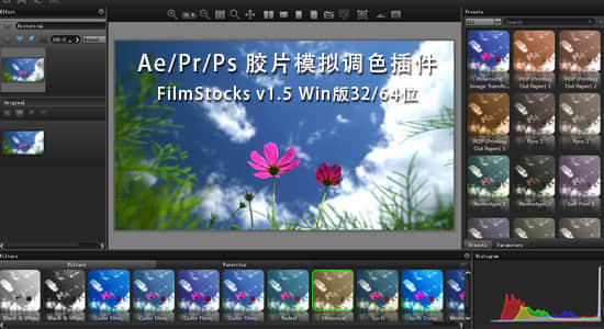Ae/Pr/Ps 胶片模拟调色插件 DFT-FilmStocks v1.5 Win版32/64位插图