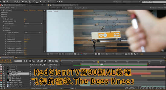 RedGiantTV第90期AE教程：飞舞的蜜蜂.The Bees Knees