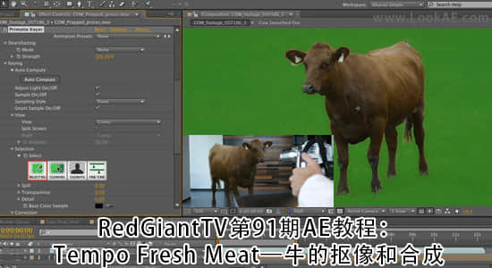 RedGiantTV第91期AE教程：牛的抠像和合成.Tempo Fresh Meat