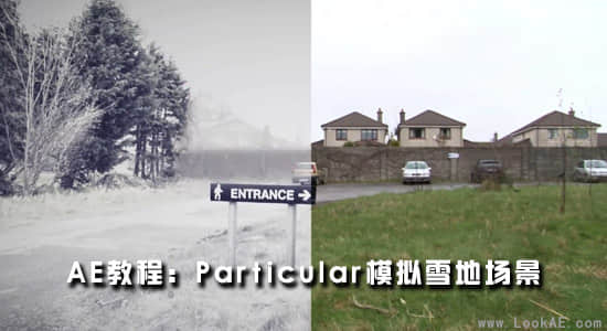AE教程：粒子 Particular 模拟雪地场景