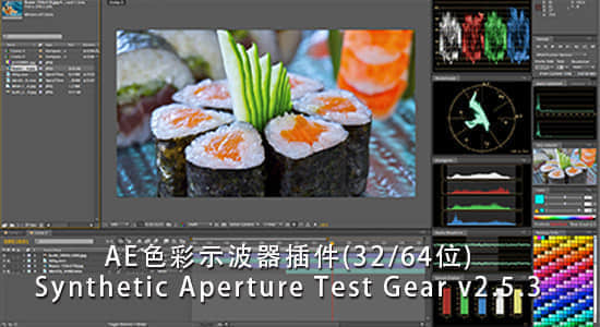 AE色彩示波器插件 Synthetic Aperture Test Gear v2.5.4（Win版64位）