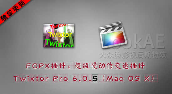 FCPX Twixtor 605