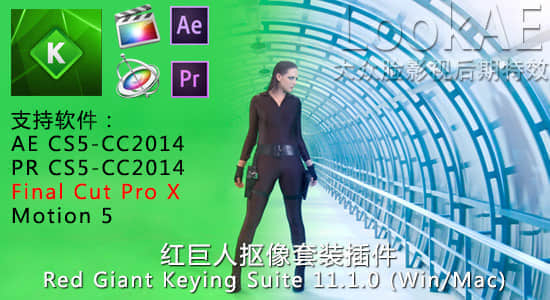 红巨人抠像套装插件 Red Giant Keying Suite 11.1.11 支持 CC 2019
