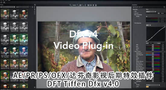 Dfx4