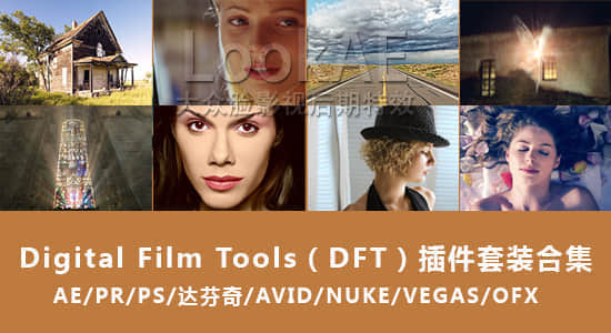 AE/PR/PS/达芬奇/AVID/NUKE/VEGAS/OFX插件套装合集：Digital Film Tools Bundle 2015.10（Win64）