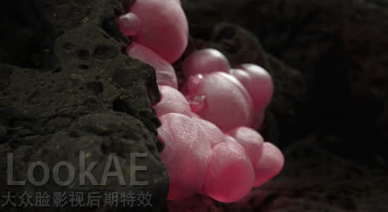 C4D阿诺德Arnold渲染器SolidAngle C4DtoA 2.6.0 Win替换版