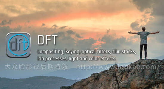 Ae/Pr/Ps/OFX/AVID/达芬奇视觉特效插件合集 Digital Film Tools DFT 1.1.1