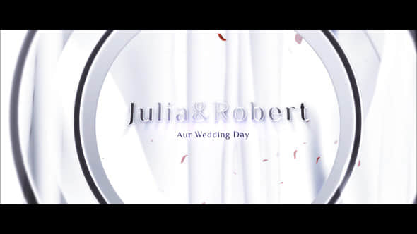 AE模板：唯美浪漫婚礼片头 Wedding Opener