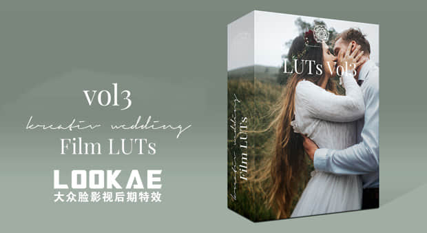 8组欧美风格婚礼LUT调色预设 Kreativ Wedding LUTs Vol. 3