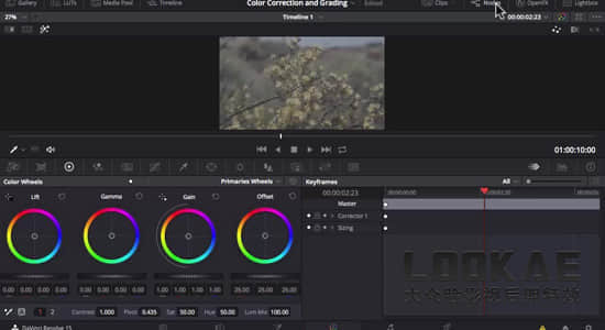 达芬奇15基础视频调色训练教程SKillshare – Color Correction and Color Grading of videos with DaVinci Resolve 15