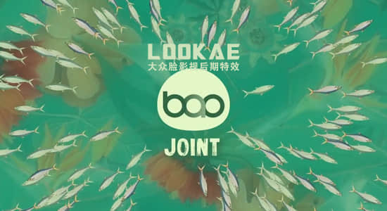 AE插件-骨骼关节绑定扭曲变形联动 BAO Joint v1.0.1 Win/Mac版