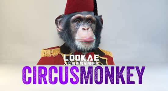 AE脚本-个性动态文字排版3D翻转动画 CircusMonkey V1.08