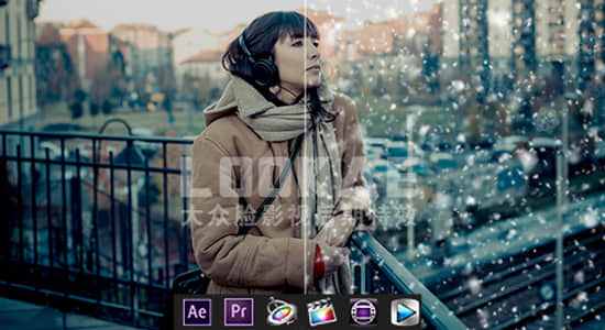 视频素材-20个下雪粉尘飘舞动画素材 LookAE - Snow