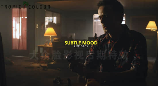 50个黑暗弱光夜晚环境电影视频调色LUTs预设Tropic Colour-Subtle Mood LUTs（FCPX/PR/PS/AE/达芬奇）