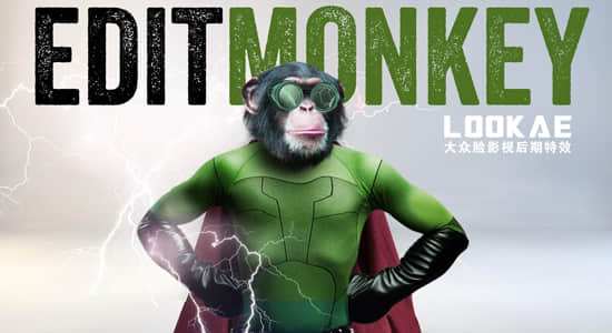 AE脚本-一键处理多图层运动 EditMonkey v1.0.6+使用教程