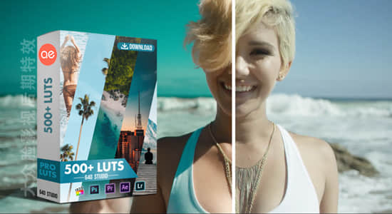 560种多风格LUTs视频调色预设 540+ Cinematic LUTS Pack（AE/PR/FCPX/PS/达芬奇/OFX）