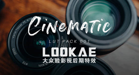 12组索尼Sony摄像机专用视频调色LUTs预设（AE/PR/FCPX/PS/达芬奇/OFX）
