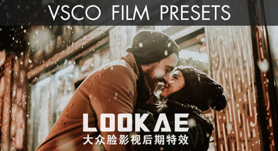 PS/LR调色预设-18315种多风格电影胶片时尚小清新调色预设 VSCO Film 1-7 Win/Mac