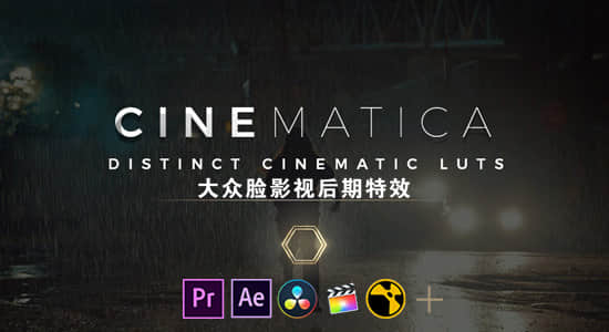 50种独特影视大片LUTS调色预设 Cinematica  LUTs（AE/PR/FCPX/PS/达芬奇/OFX）