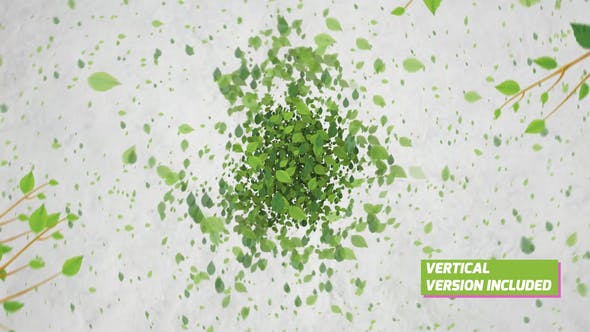 AE模板-众多绿色树叶汇聚LOGO标志片头 Green Eco Logo Reveal
