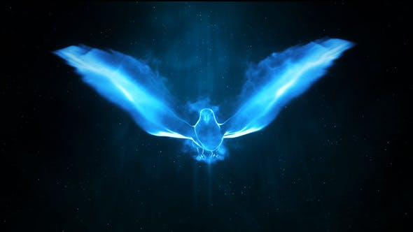 AE模板-粒子飞鸟LOGO标志展示片头 Magic Bird Logo