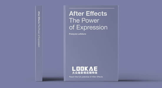 AE表达式实例详解使用手册PDF英文说明书 After Effects The Power of Expression Book