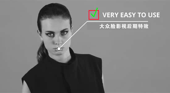 DaVinci Resolve达芬奇预设-15种自动跟踪呼出线条文字标题介绍动画 Call Out Titles+使用教程