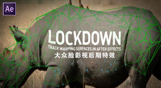 中文汉化AE插件-物体表面跟踪特效合成高级工具 Lockdown v2.7.4 Win