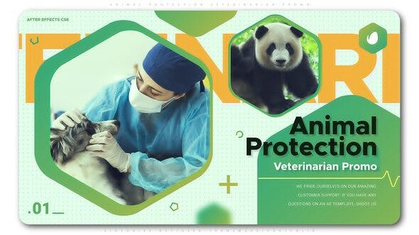 AE模板-时尚图形宠物医院医疗图文展示包装片头 Animal Protection Veterinarian Promo
