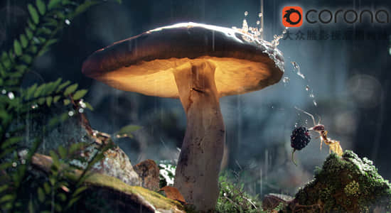 C4D插件-专业高性能实时交互渲染器 Corona Renderer V6.2 for Cinema 4D Win版