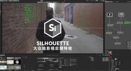 影视后期动态遮罩跟踪抠像合成软件 Silhouette 2020.0.5 Win版