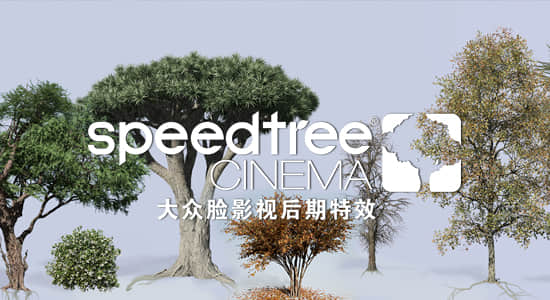 三维植被树木生长建模软件 SpeedTree Modeler 8.4.2 Cinema Edition Win版