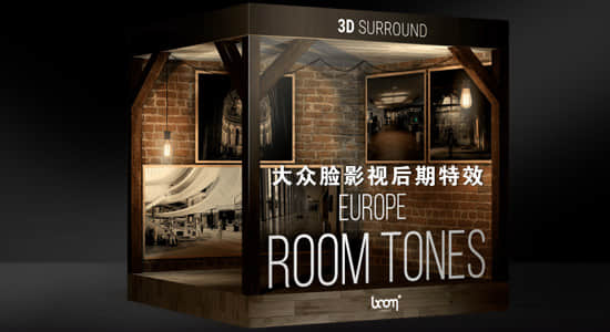 音效-119个公共环境繁忙仓库室内空旷场景回声嘈杂无损音效 Room Tones Europe