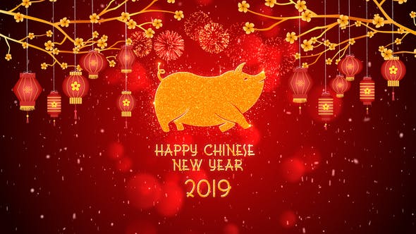 AE模板-欢快喜庆桃花悬挂灯笼照片文字中国新年片头 Chinese New Year 2019