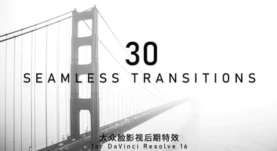 DaVinci Resolve达芬奇模板-30种动感快速分割平移旋转无缝视频转场 Seamless Transitions