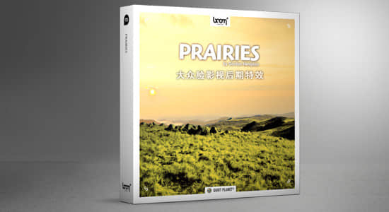音效-105组辽阔大草原虫鸣鸟叫风声自然环境无损音效 BL - Prairies