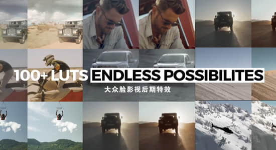 国外25位创作者分享209个高质量LUTS调色预设大合集(FCPX/PR/PS/AE/达芬奇/OFX) The LUT Bundle