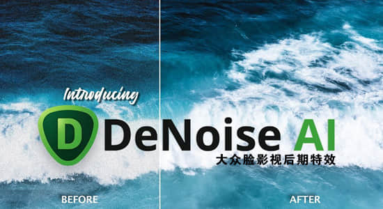 中文汉化版-图片降噪去颗粒处理软件 Topaz DeNoise AI 2.3.2 Win版