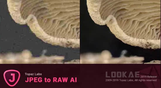 将JPEG图片转换为高质量RAW的软件 Topaz JPEG to RAW AI V2.2.1 Win版