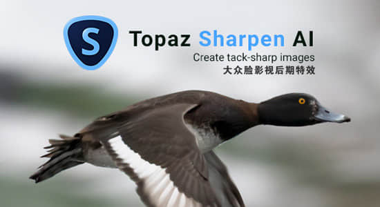 图片锐化清晰处理软件 Topaz Sharpen AI 2.1.7 Win版插图