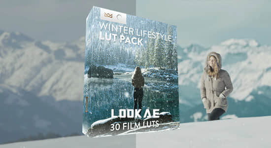 30种冬季户外环境生活场景LUTs调色预设(FCPX/PR/PS/AE/达芬奇/OFX) Bounce Color -  Winter Lifestyle LUT Pack