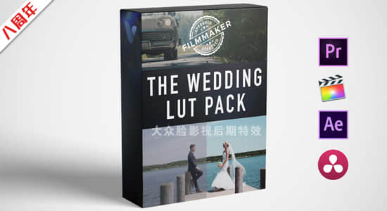 13个浪漫爱情婚礼LUTS调色预设(FCPX/PR/PS/AE/达芬奇/OFX) Wedding LUT Pack