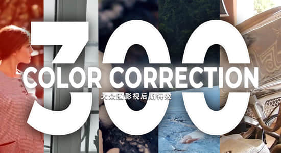 Premiere预设-300种电影预告片婚礼黑白对比运动旅游复古调色预设 300 Color Corrections Pack