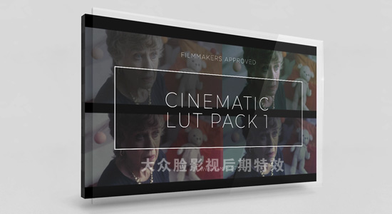 13个电影级LUTS调色预设 Vamify Cinematic Lut Pack