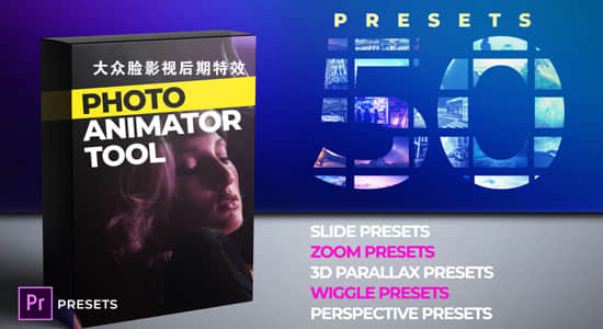 Premiere预设-50种图片缩放透视摇晃移动视差幻灯片动画预设 Photo Animation Tool