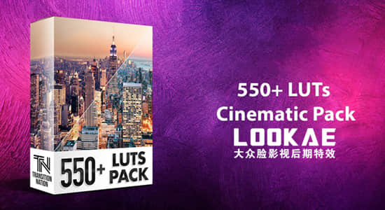 550个室内户外照明环境城市黑白复古婚礼电影LUTS调色预设 550+ LUTs – Cinematic Pack