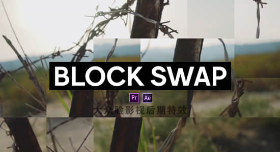 Mac苹果版-随机生成像素块视觉特效AE/PR插件 Block Swap v1.5.1