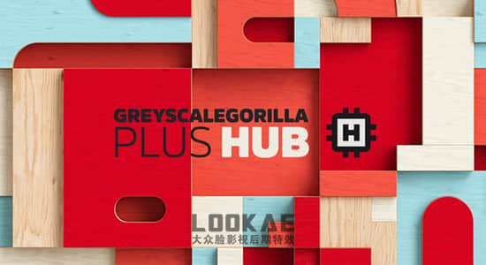 C4D 2024 GSG插件合集GreyscaleGorilla Plus Hub Plugins Win版 含Light Kit Pro/Signal/Light Types/GorillaCam/Cyc Types