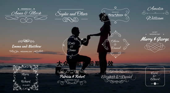 DaVinci Resolve达芬奇模板-12组浪漫小清新爱情婚礼文字标题动画 Wedding Titles