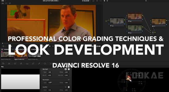 专业色彩分级技术达芬奇调色教程 Professional Color Grading Techniques in DaVinci Resolve